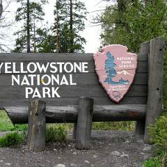 Yellowstone NP